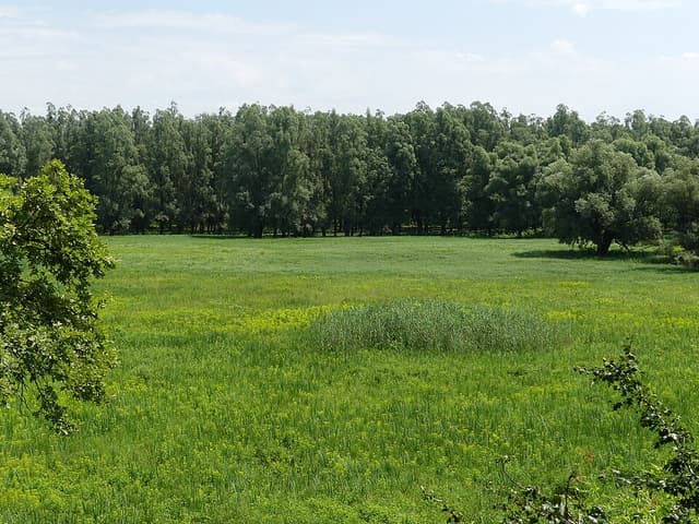 Duna–Dráva Nemzeti Park